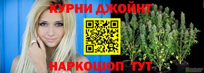 сатива Коммунар